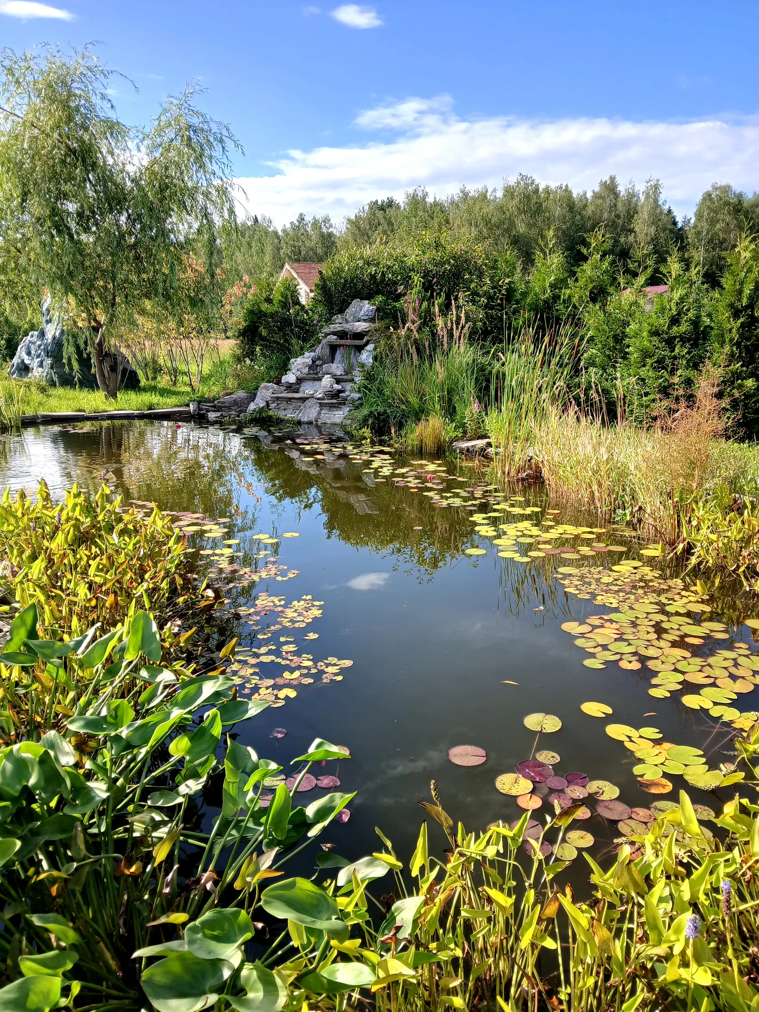 Фото Декоративный водоём в Ростове Великом