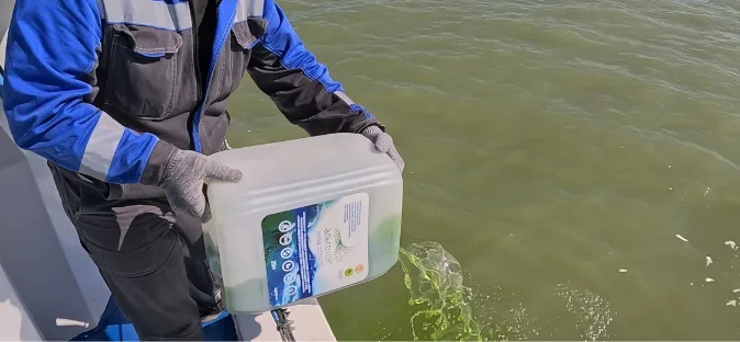 Комплексное биологическое восстановление водоёма - фото