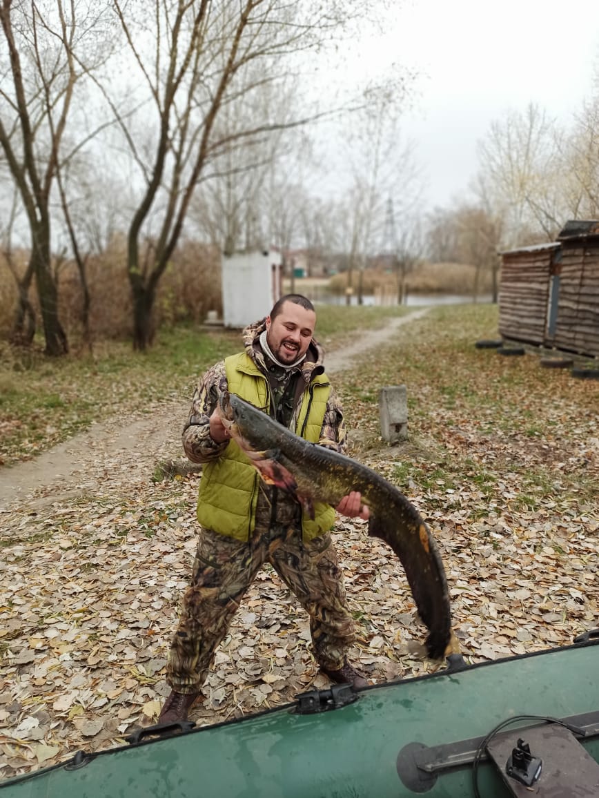 Зарыбление пруда в Красногорске
