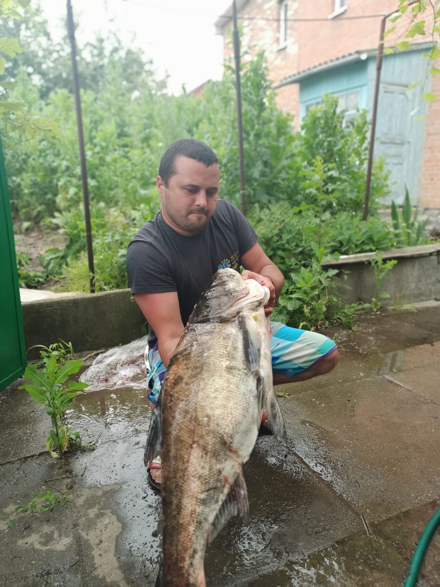 Фото Зарыбление пруда в Красногорске