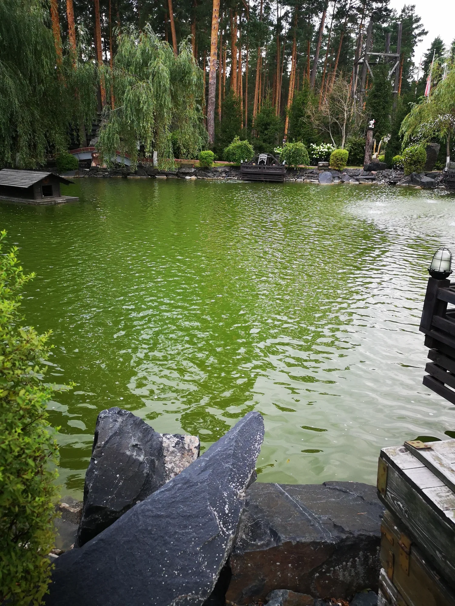 Фото Водоем для купания в Балашихе