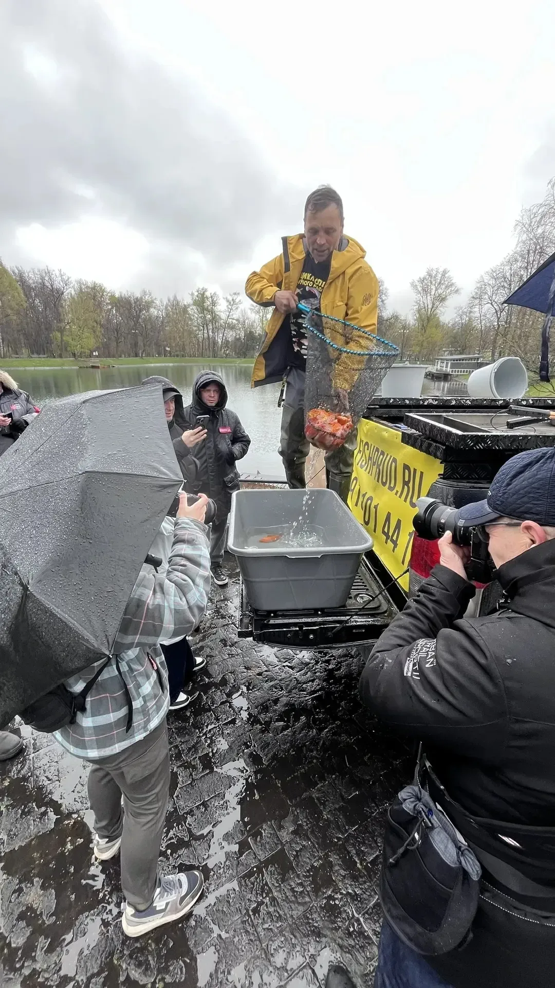 Зарыбление пруда в Ярославле