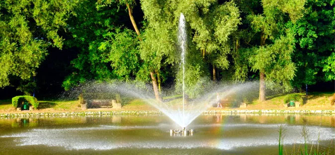 Строительство фонтанов и установка аэраторов в прудах и водоемах - фото