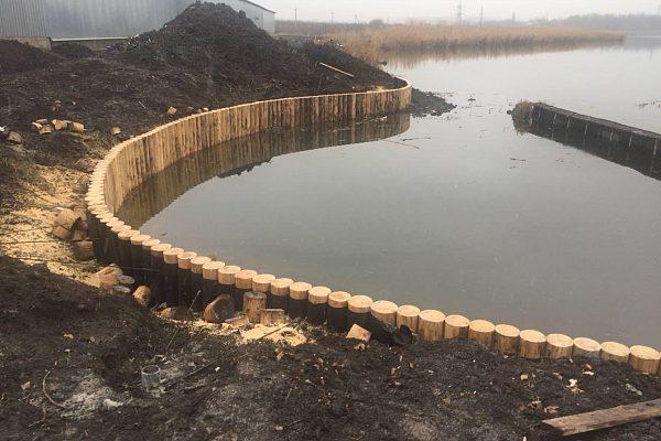 Берегоукрепление лиственницей Полтавская обл., Кишеньки