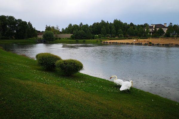 Декоративный водоём Одинцовский городской округ