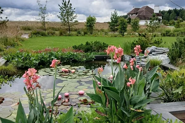 Водные растения в Калуге