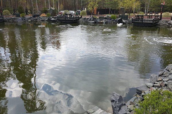Большие водоемы в парке в Брянске