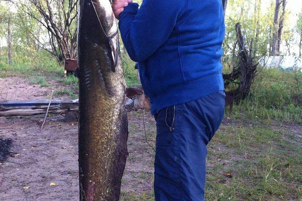 Зарыбление водоема в Твери