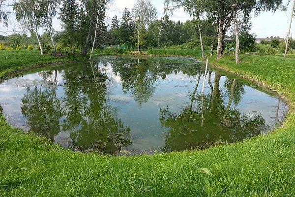 Строительство пруда в природном стиле в Троицке