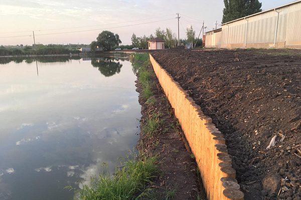 Берегоукрепление лиственницей Полтавская обл., Кишеньки