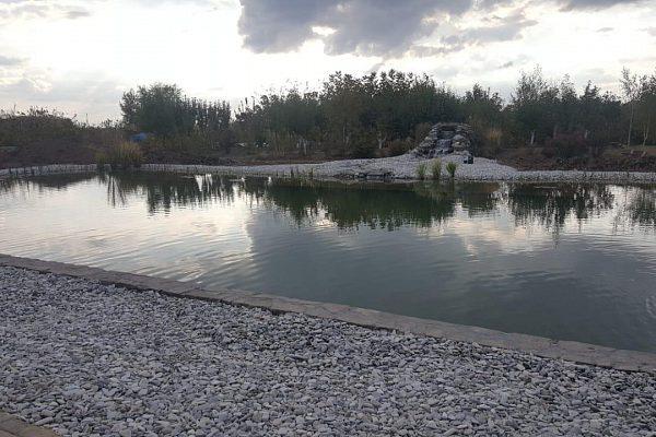 Декоративный водоём в Одинцово