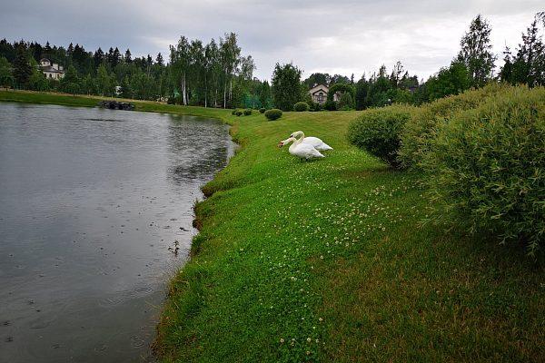 Строительство большого природного водоема к коттеджном поселке в Чехово