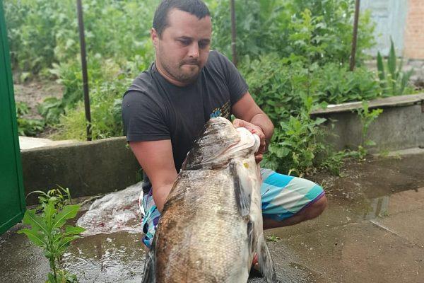 Зарыбление пруда во Владимире