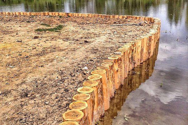 Берегоукрепление лиственницей Полтавская обл., Кишеньки