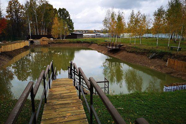 Мостик для пруда в Костроме