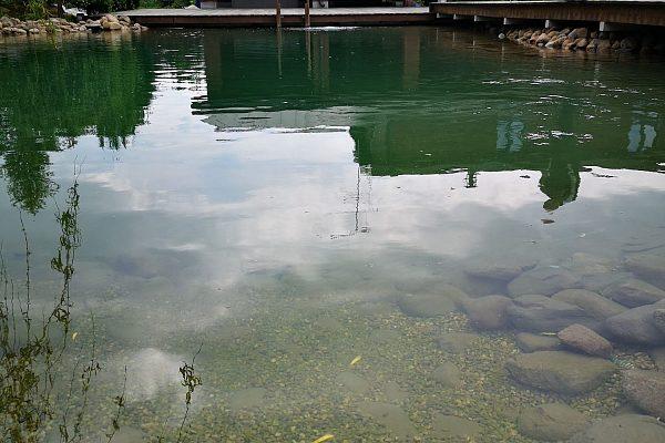 Строительство пруда на даче для купания в Белгороде