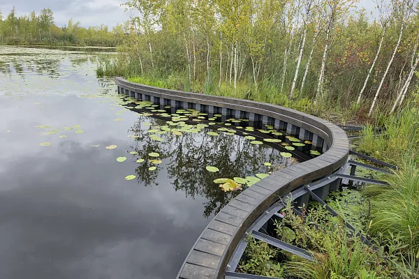 Укрепление берега Красногорск
