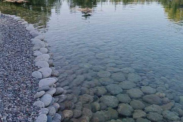 Большой водоем для рыбы - 3
