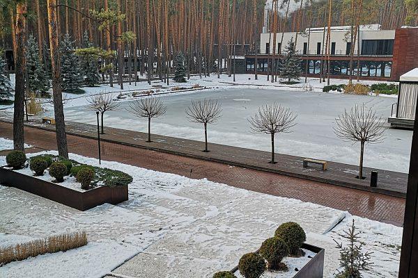 Декоративный водоём Одинцовский городской округ