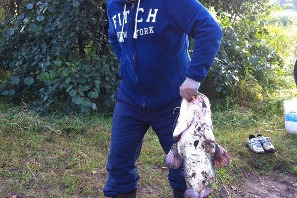 Зарыбление водоема в Твери