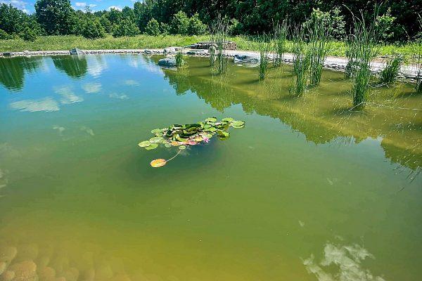 Строительство большого водоема для рыбы во Владимире
