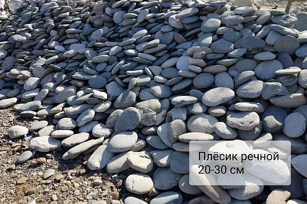 Плёсик речной