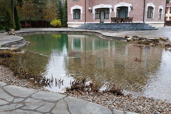 Большой пруд возле загородного дома в г. Наро-Фоминск