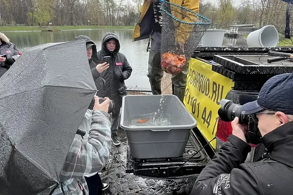 Зарыбление пруда в Смоленске