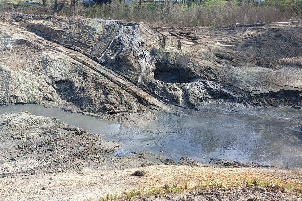 Строительство плавательного водоема с биоплато в Саранске