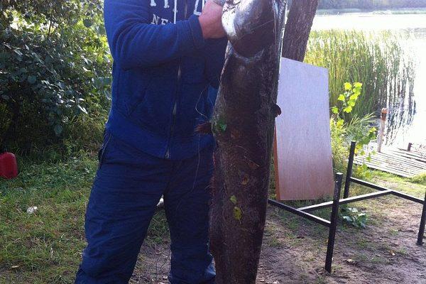 Зарыбление водоема в Твери