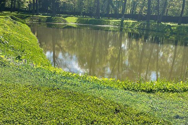 Декоративный водоём село Красное