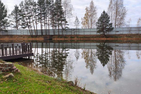 Укрепление берега лиственницей - 6