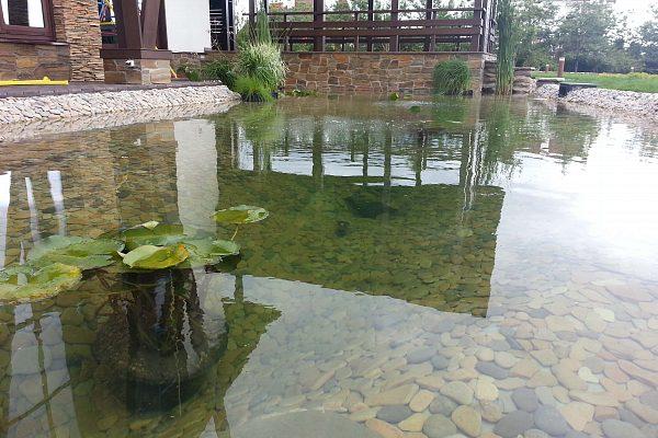 Строительство декоративного пруда на даче в Истре
