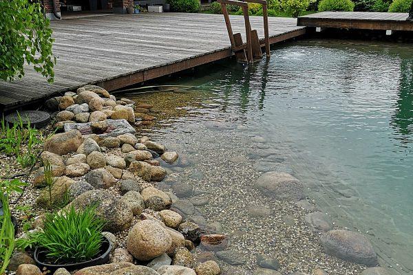 Строительство пруда на даче для купания в Белгороде
