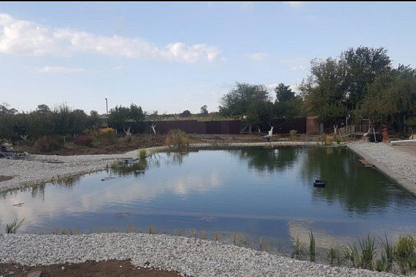 Декоративный водоём в Одинцово