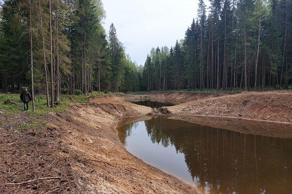 Декоративный водоём село Красное