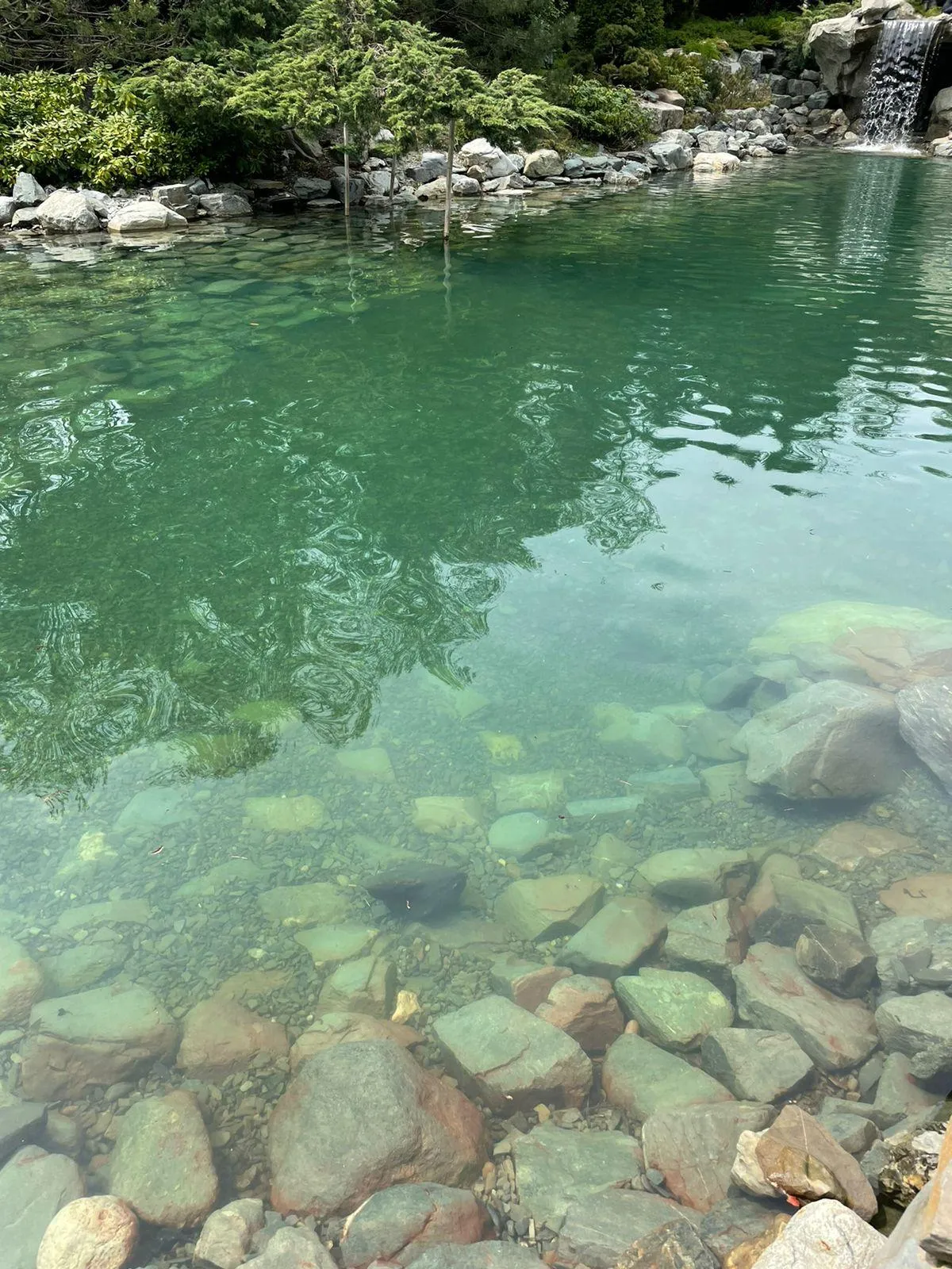 Водоем Раменское