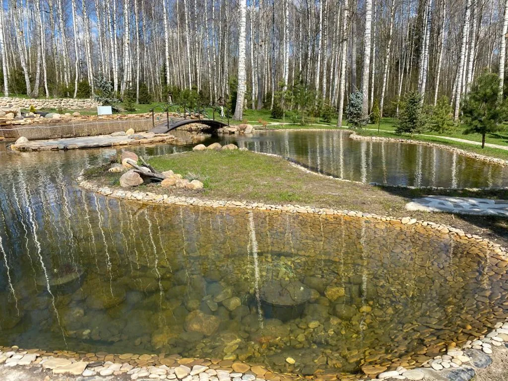 Фото Декоративные водоёмы — апрель–май 2020