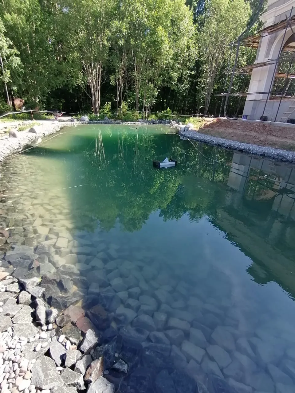 Декоративные водоёмы — июнь–июль 2022