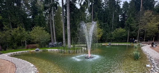 Особенности установки фонтана в зарыбленном пруду - фото