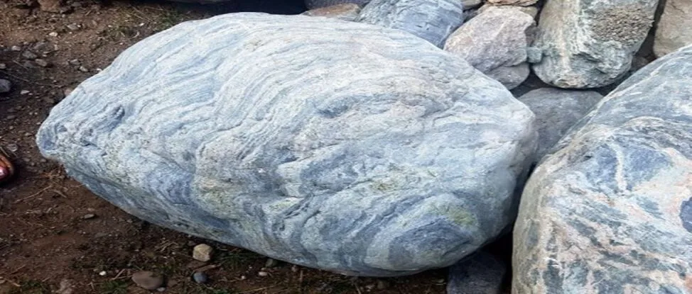 Булыжник лиана