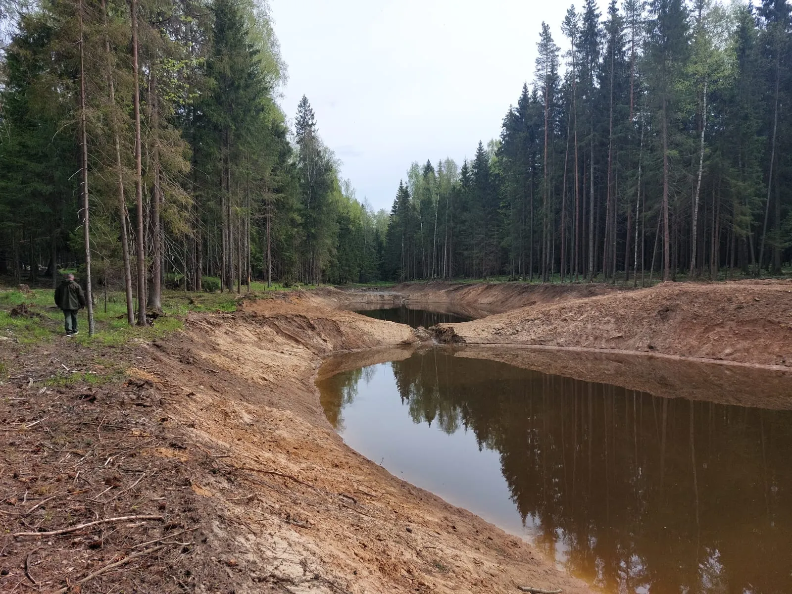 Декоративные водоёмы — май–июнь 2022