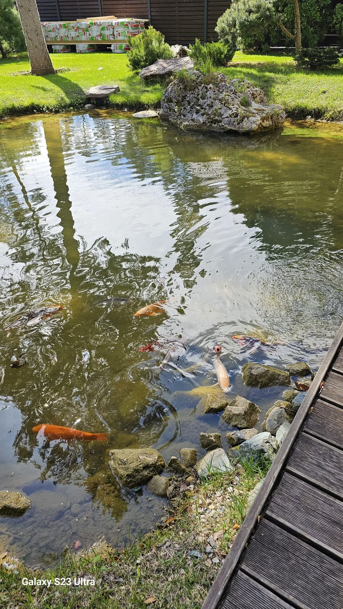 Фото Строительство декоративного водоём с водопадом на даче в Коломне